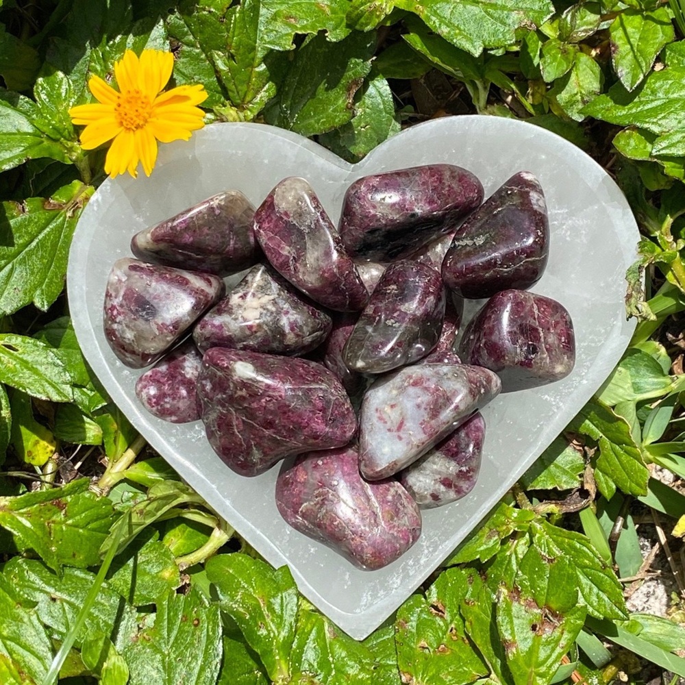 (2) Tumbled Rubellite Stones